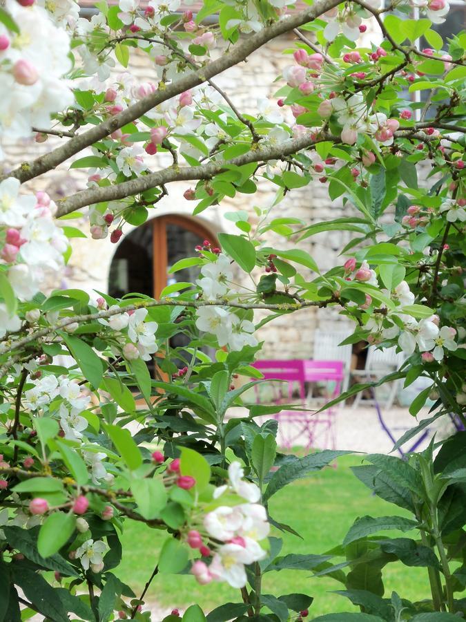 Chambres Et Jardin De Pierres Espédaillac 外观 照片